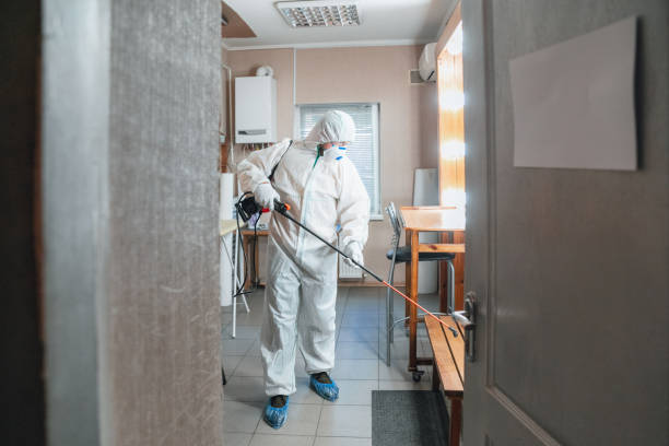 Best Emergency Mold Remediation  in Timberwood Park, TX